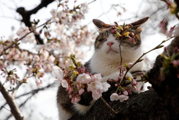 METEO // Cer variabil și temperaturi de până la plus 18 grade