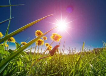 METEO // Vreme caldă și cer variabil. Câte grade vor fi astăzi