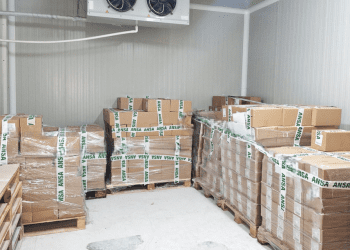 Peste 1,4 tone de produse alimentare, oprite la frontieră. ANSA a depistat niveluri periculoase de acizi grași trans