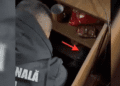 VIDEO // Percheziții la Drochia: droguri și o armă, descoperite în locuințele a trei bărbați