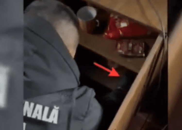 VIDEO // Percheziții la Drochia: droguri și o armă, descoperite în locuințele a trei bărbați