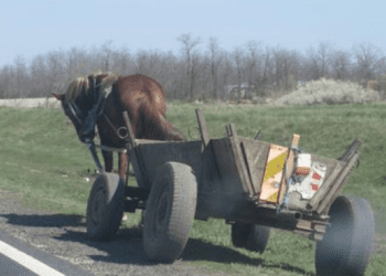 Bărbat din raionul Drochia, trimis în judecată după ce și-a ucis concubina și a aruncat cadavrul la marginea satului