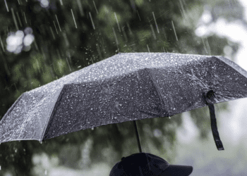 METEO // Ploi slabe și vânt puternic se așteaptă pe parcursul zilei