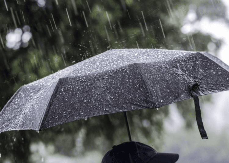 METEO // Ploi slabe și vânt puternic se așteaptă pe parcursul zilei