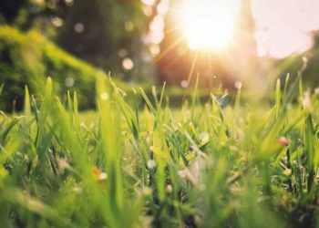 METEO // Zi cu soare și temperaturi medii