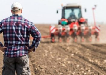 Guvernul vrea să susțină agricultorii cu 110 milioane lei pentru compensarea motorinei