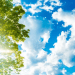 METEO // Cer variabil și temperaturi înalte. Câte grade vor fi astăzi