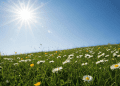 METEO // Zi cu soare și temperaturi moderate