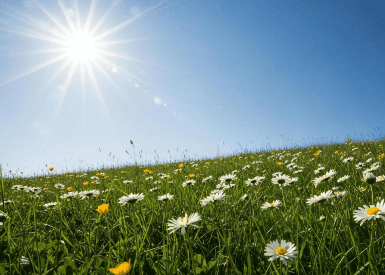 METEO // Zi cu soare și temperaturi moderate