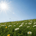METEO // Zi cu soare și temperaturi moderate