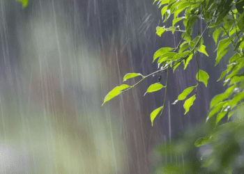 METEO // Vreme rece și ploi pe întreg teritoriul țării