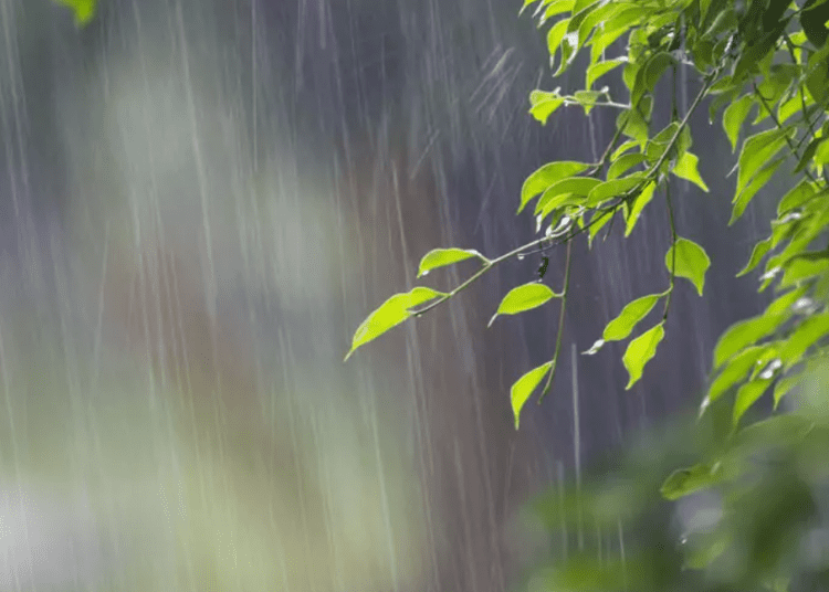 METEO // Vreme rece și ploi pe întreg teritoriul țării