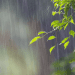 METEO // Vreme rece și ploi pe întreg teritoriul țării