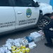 VIDEO // Peste 22.000 de țigarete și alcool etilic, depistate în raionul Drochia