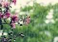 METEO // Meteorologii anunță ploi în nordul și centrul țării