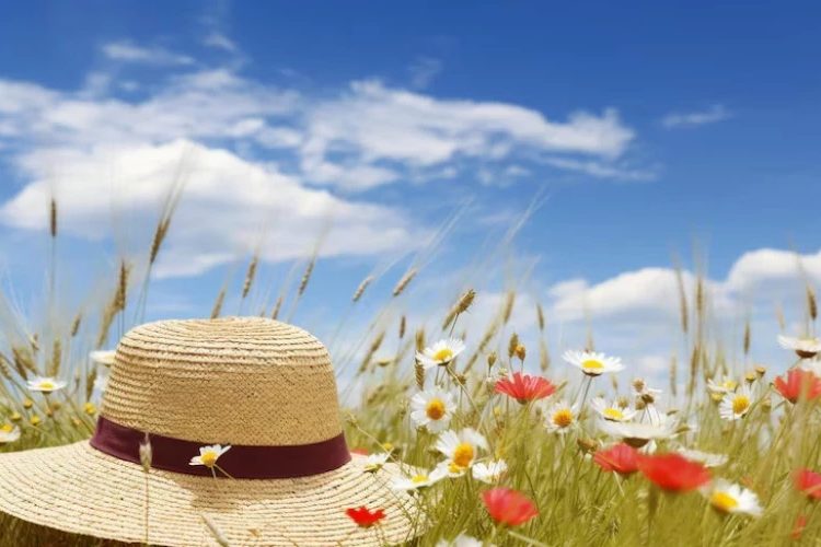 METEO // Cer senin și temperaturi de vară