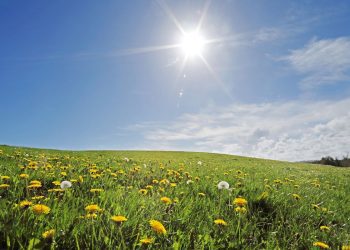 METEO // Temperaturi moderate și cer variabil
