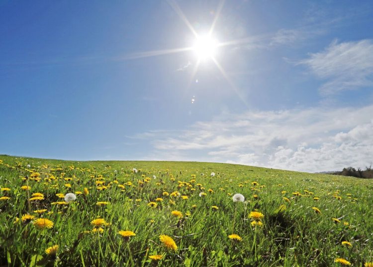 METEO // Temperaturi moderate și cer variabil