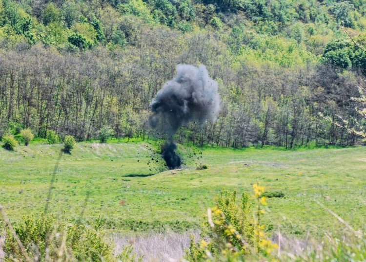 ВИДЕО // Артиллерийский снаряд времён Второй мировой войны обезврежен сапёрами в Рышканском районе