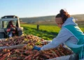 Moldova va beneficia de un proiect de 4 milioane de euro pentru modernizarea agriculturii