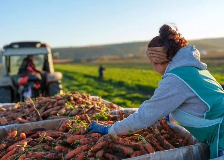 Moldova va beneficia de un proiect de 4 milioane de euro pentru modernizarea agriculturii