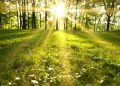 METEO // Zi cu soare și temperaturi medii