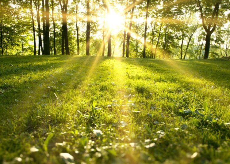 METEO // Zi cu soare și temperaturi medii