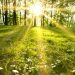 METEO // Zi cu soare și temperaturi medii