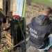 Bunuri de peste 36 de mii de lei, furate dintr-o gospodărie din raionul Florești. Poliția a efectuat percheziții