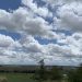 METEO // Cer noros în nord și ploi cu descărcări electrice la centru și sud