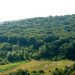 De la „Moldsilva” la „Pădurile Moldovei”. Eficientizarea costurilor de ordinul milioanelor și gestionarea fondului forestier