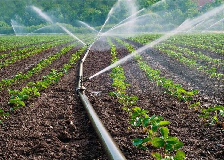 Republica Moldova va beneficia de 60 de milioane de euro pentru modernizarea infrastructurii de irigare