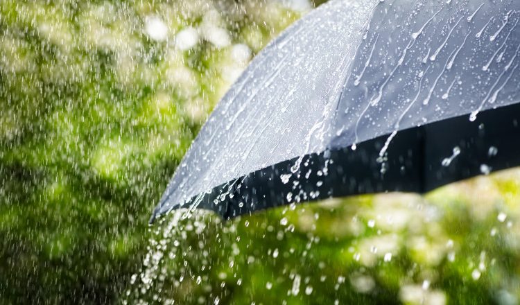 METEO // Se așteaptă ploi în nordul și centrul țării