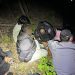 VIDEO // Operațiune la frontiera din raionul Glodeni: polițiștii au oprit o tentativă de migrație ilegală