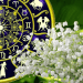 HOROSCOP // Schimbări, emoții și oportunități: ce aduce ziua de marți pentru fiecare semn zodiacal