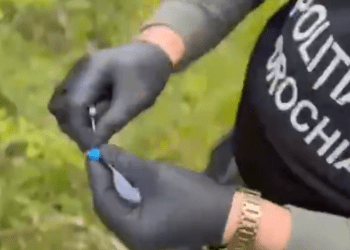 VIDEO // Droguri de circa 200.000 de lei, ridicate la Drochia. Doi bărbați au fost reținuți