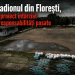 INVESTIGAȚIE // Stadionul din Florești, un proiect întârziat și responsabilități pasate