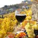 Vinificatorii din R. Moldova au obținut 80 de medalii la unul dintre cele mai mari concursuri internaționale