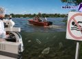 VIDEO // Apa care poate îmbolnăvi: ce au descoperit analizele în lacurile din Bălți