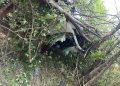 FOTO // Accident grav la Criuleni. O persoană decedată și patru rănite