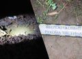 VIDEO // Drona căzută în Republica Moldova ar fi de proveniență ucraineană. MAE condamnă incidentul de la Orhei