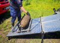 VIDEO // Bombă de aviație descoperită pe malul Prutului, în România. A fost detonată controlat