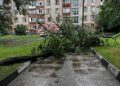 FOTO // Ploi și vânt la Bălți. Un copac a căzut peste un pieton, iar trei mașini au fost avariate