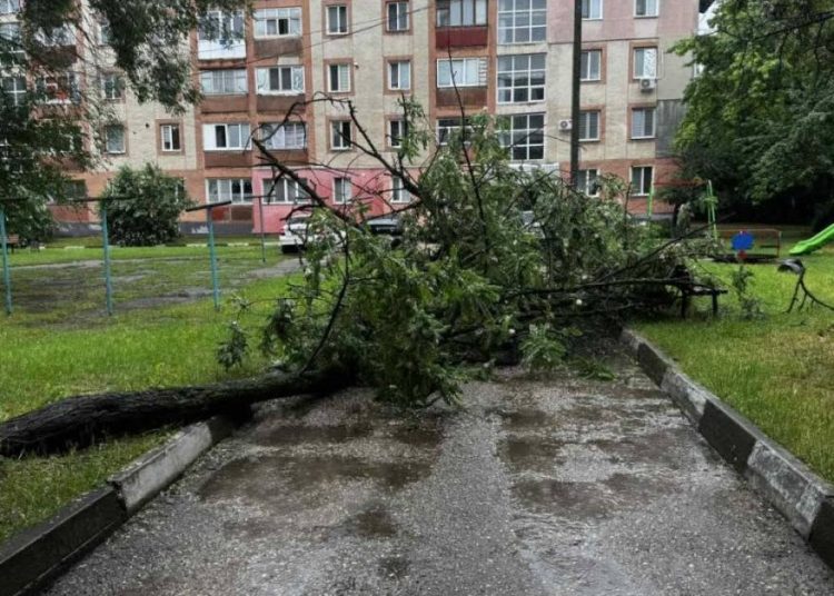 FOTO // Ploi și vânt la Bălți. Un copac a căzut peste un pieton, iar trei mașini au fost avariate