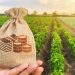 Subvenționarea agriculturii în următorii 5 ani: Mai multă competitivitate, reziliență climatică, valoare adăugată și dezvoltare rurală