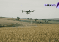 VIDEO // Dronele schimbă regulile în agricultură: mai puține pierderi pentru fermierii din nordul R. Moldova