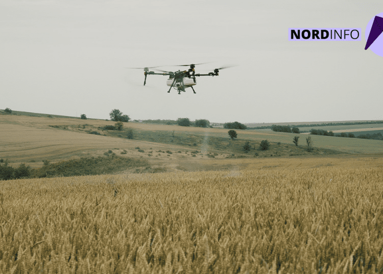 VIDEO // Dronele schimbă regulile în agricultură: mai puține pierderi pentru fermierii din nordul R. Moldova