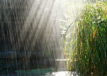METEO // Se așteaptă ploi în nordul și sudul țării