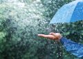 На второй день лета по всей стране объявлен жёлтый код из-за осадков