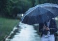 METEO // Vreme caldă și ploi în nordul țării
